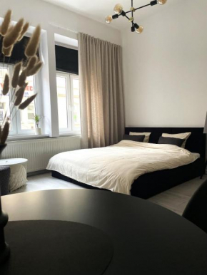 Apartament Miedziany Śródmieście